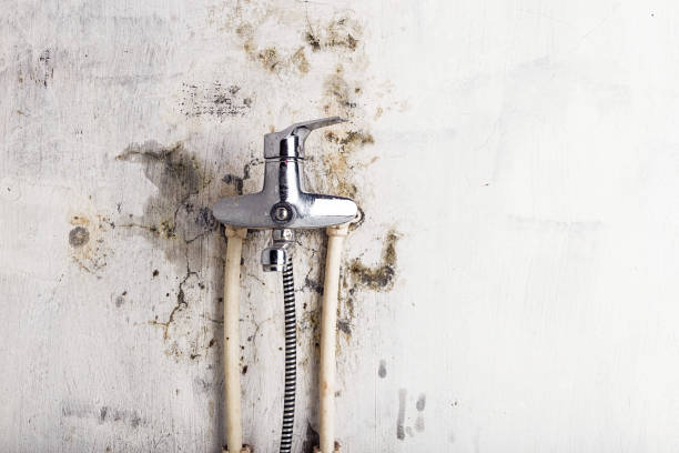 Certified Mold Removal in Port Jefferson, NY