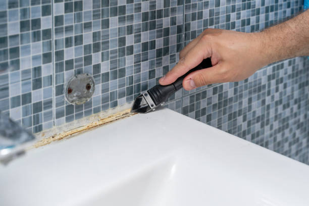 Best Same-Day Mold Removal  in Port Jefferson, NY